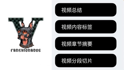 图片/视频理解